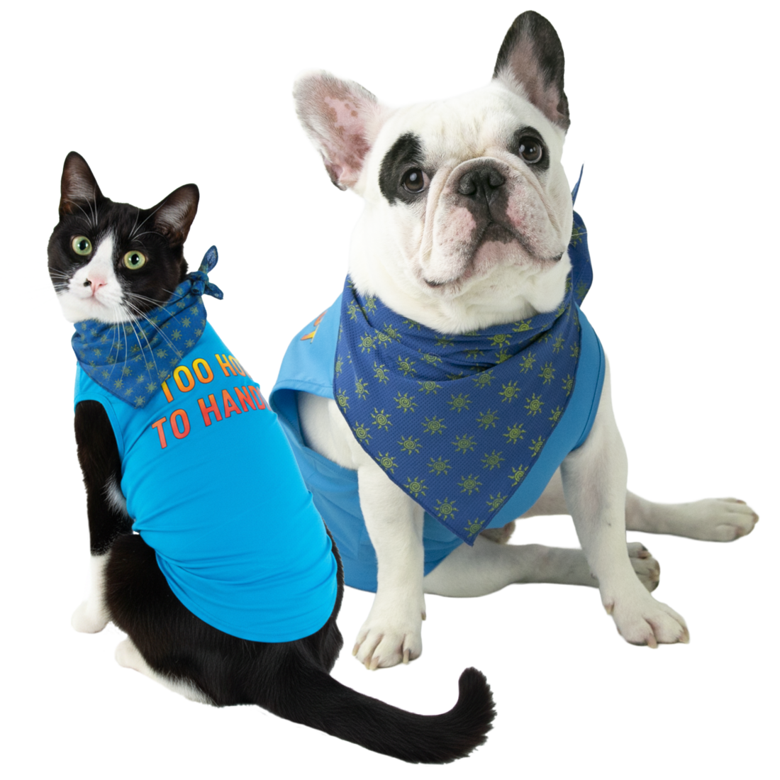 Play On Dog Cooling Tee/Bandana Set