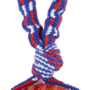 Play On Rope with TPR Ball Assorted Dog Toy