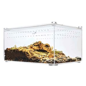 Herpcult Acrylic Enclosure, Flat Clear Top, Large, 12X8X6
