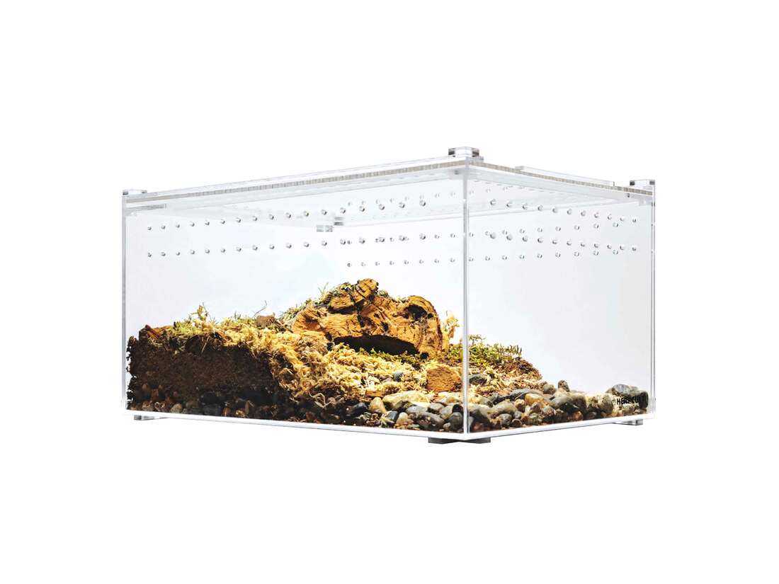 Herpcult Acrylic Enclosure, Flat Clear Top, Large, 12X8X6