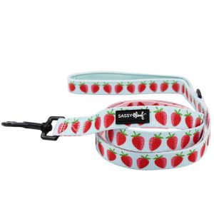 Sassy Woof Dog Leash, I Woof You Berry Much