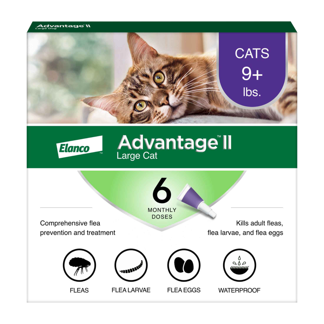 Advantage II Large Cat - Image 3