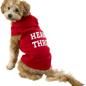 Play On Valentine's Day Hoodie Heart Throb