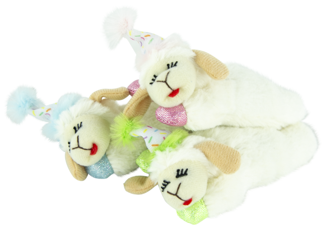 Play On Lamb Chop® with Birthday Hat Cat Toy, Assorted