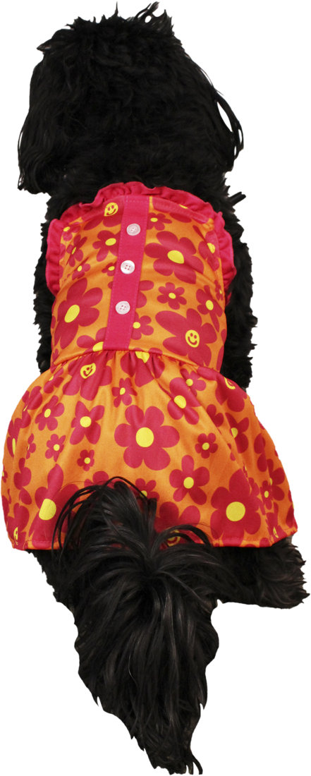 Play On Spring/Summer Daisy Dress, Extra Small