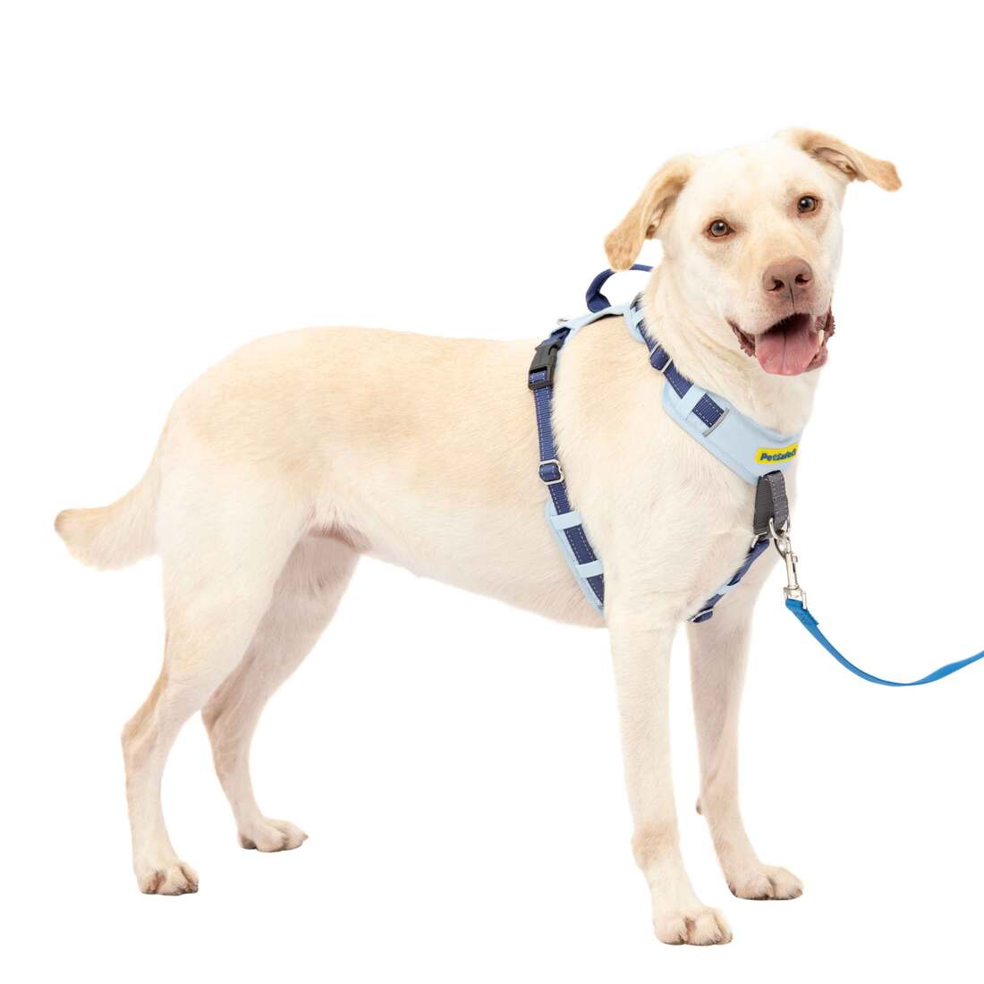 PetSafe® Easy Walk® Harness - Image 11