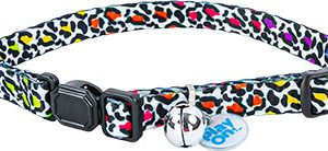 Play On Cat Rainbow Leopard Adjustable Collar