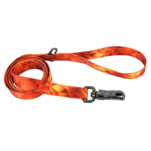 Inspire Fashion Dog Leash, Blazing Shards, Medium/Large
