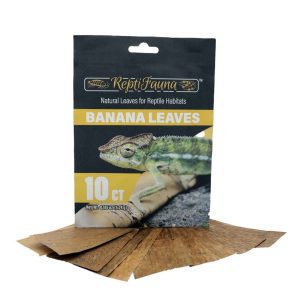 Reptifauna Aquatic Plant Banana Leaves, 10 Count