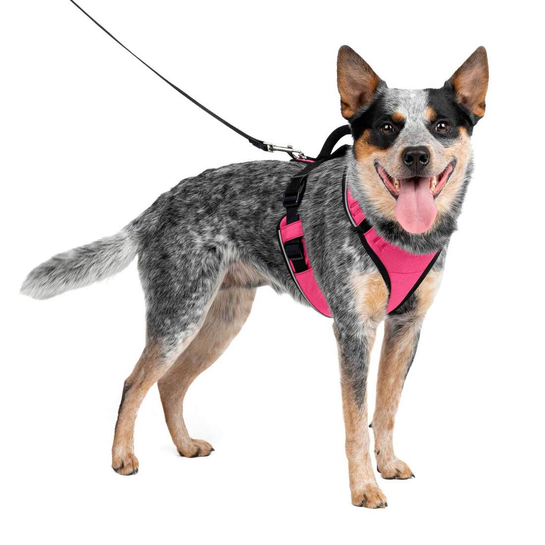 PetSafe® EasySport Harness - Image 7