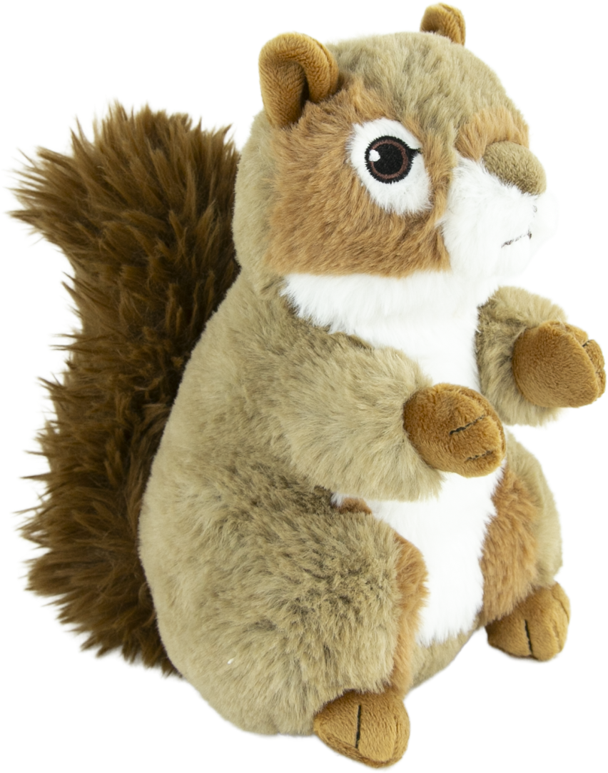 Play On Plush Squirrel Dog Toy