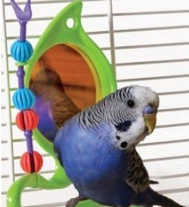 Play On Bird Toy Jungle Mirror