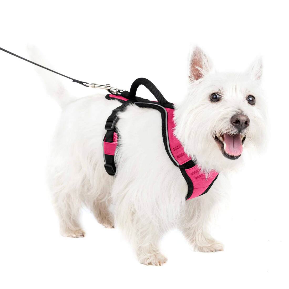 Petsafe Harness Easysport, Pink, Small