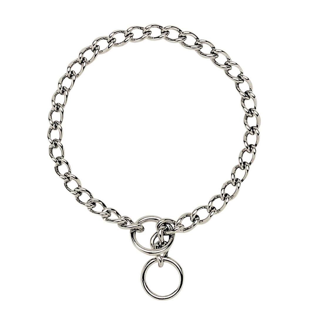 Coastal Titan® Chain Training Dog Collar - Image 4