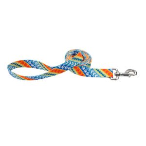 Leader Dogs for the Blind Styles Dog Leash, Resolve, 1" x 06'