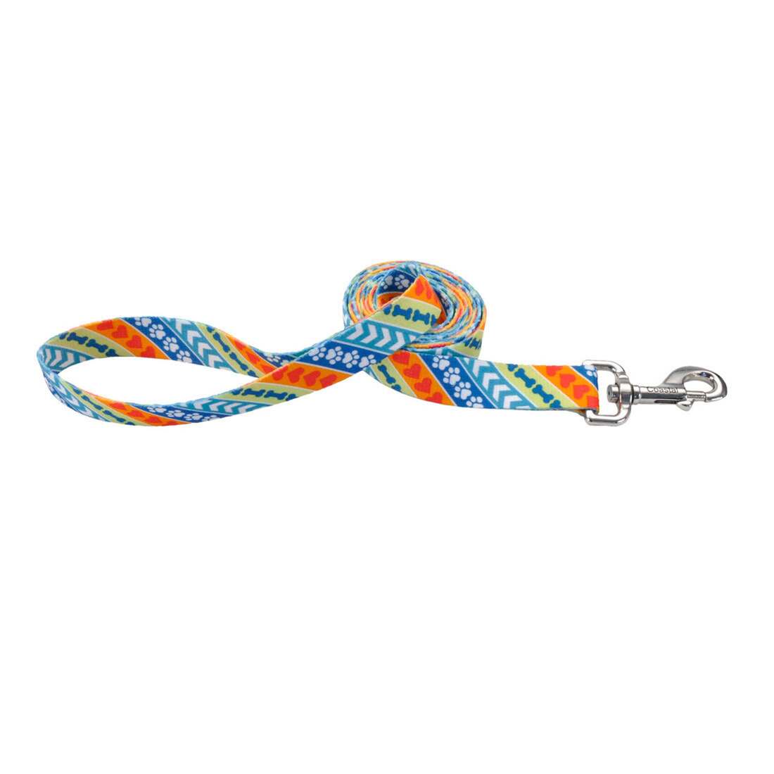 Leader Dogs for the Blind Styles Dog Leash, Resolve, 1" x 06'