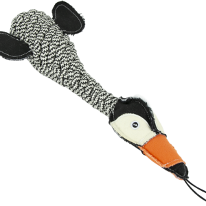 Play On Rope Toucan with Crunchy Bottle Dog Toy