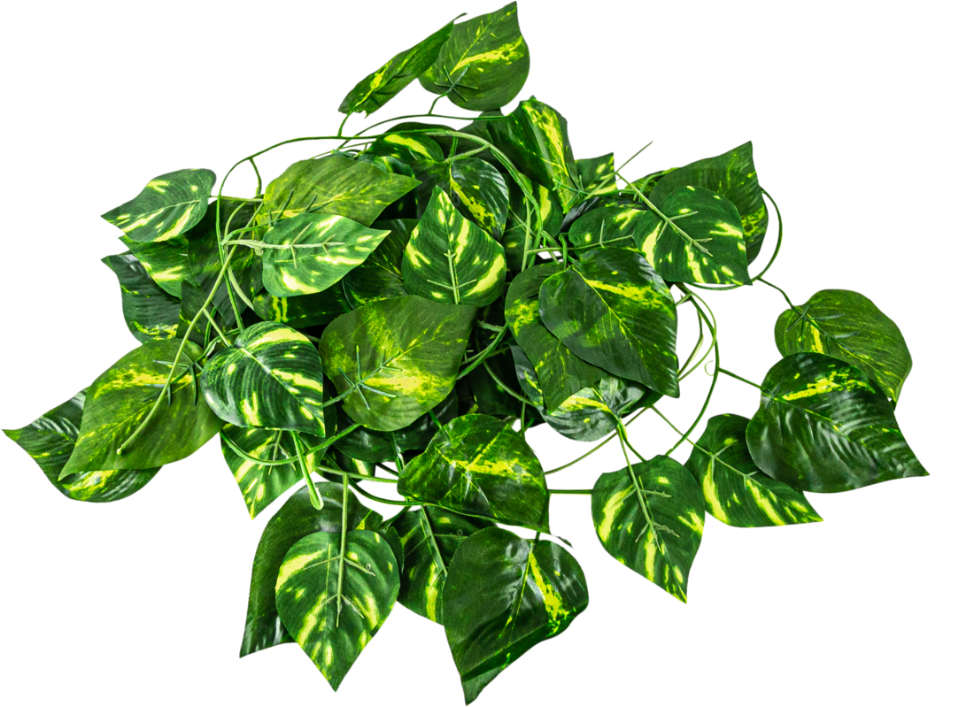 Terrassic Terrarium Décor, Evergreen Vine, 92 Inches