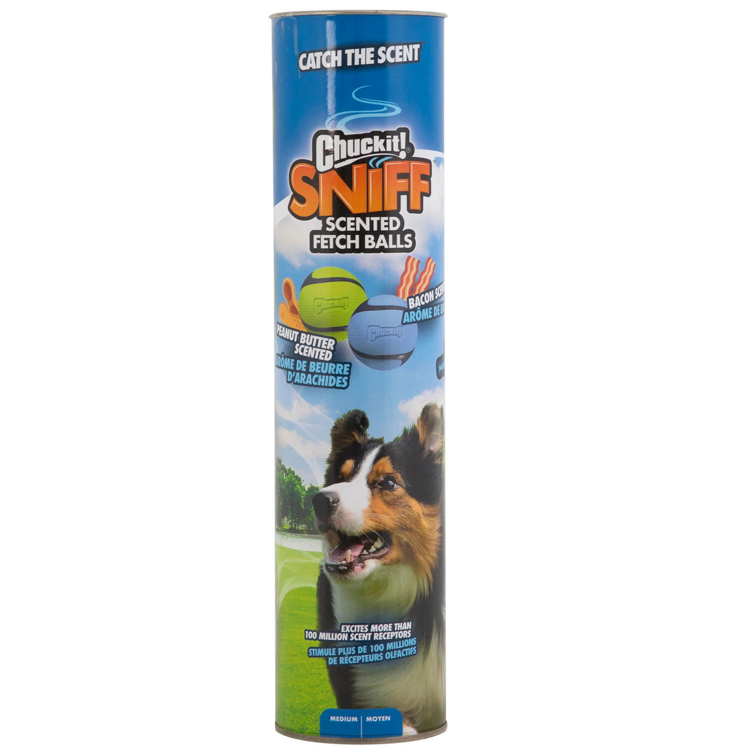 Chuckit! Sniff Fetch Balls Canister Dog Toy, Medium