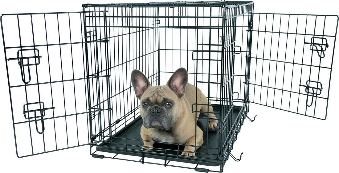 Play On Double Door Crate - Image 2