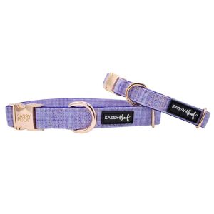 Sassy Woof Dog Collar, Aurora