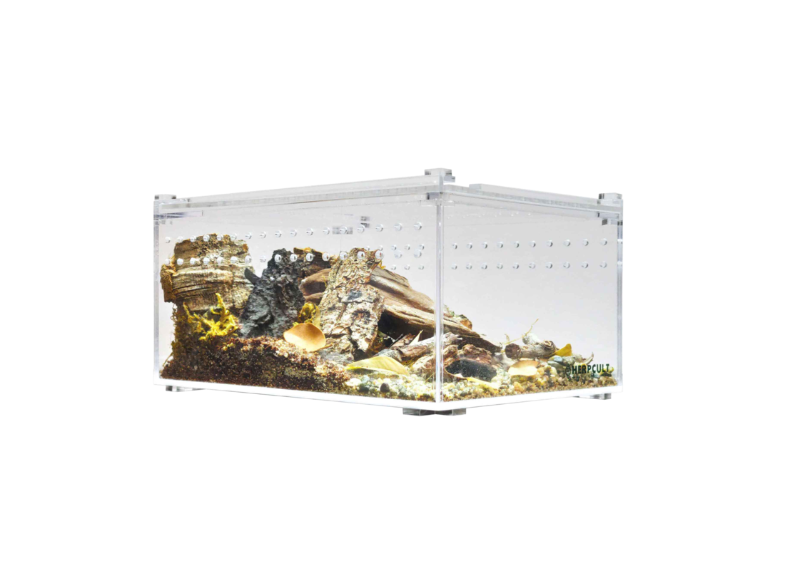 Herpcult Acrylic Enclosure, Flat, Small, 8X6X4