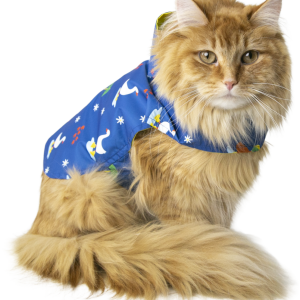 Play On Raincoat, Yellow/Goose Print