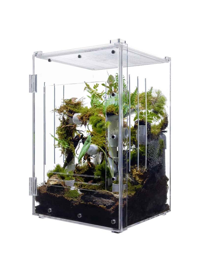 Herpcult Acrylic Enclosure, Front Open, Large, 10X10X16