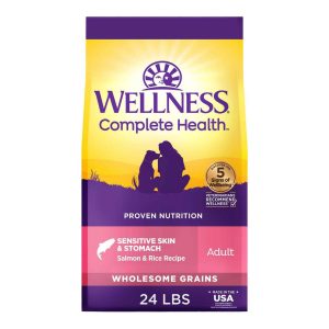 Wellness Complete Health Sensitive Skin & Stomach Natural Adult Dry Dog Food, Salmon and Rice Recipe