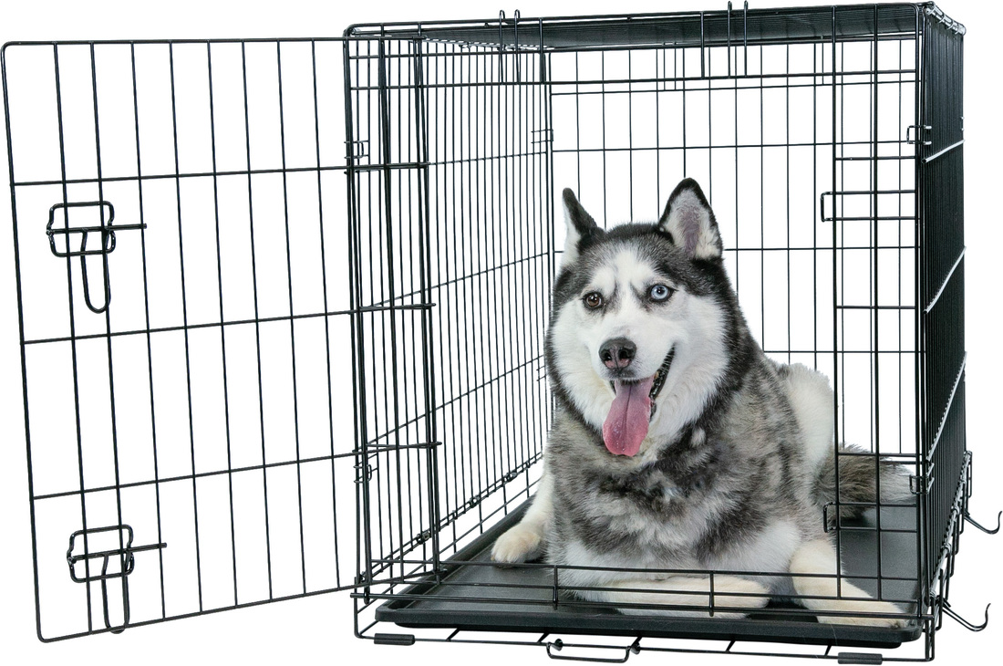 Play On Single Door Crate
