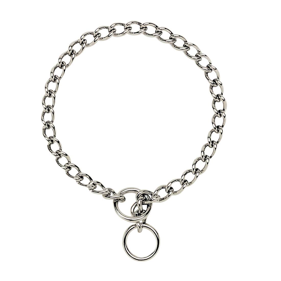 Coastal Titan® Chain Training Dog Collar - Image 8
