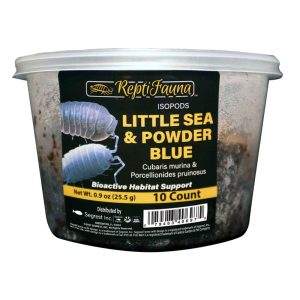 Reptifauna Isopod Powder Blue, 15 Count - Not Available For Delivery