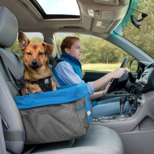 Kurgo Heather Dog Booster Seat with Seat Belt Tether, Charcoal Gray