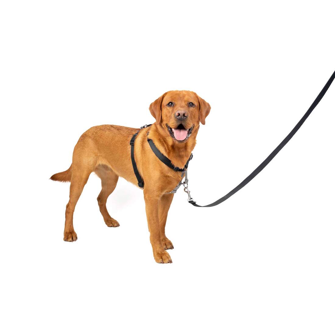 PetSafe® Harness 3 In 1 - Image 2