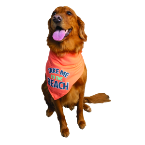 Play On Spring/Summer Apparel Cooling Bandana, One Size