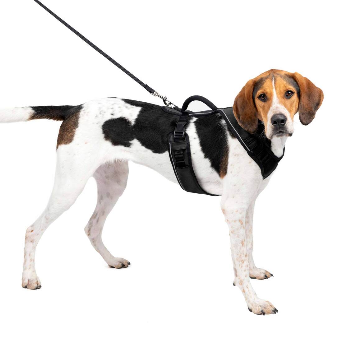 PetSafe® EasySport Harness