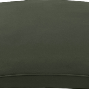 Play On Dog Bed, Green Pillow, Medium