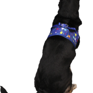 Play On Spring/Summer Paint Splatter Dog Harness