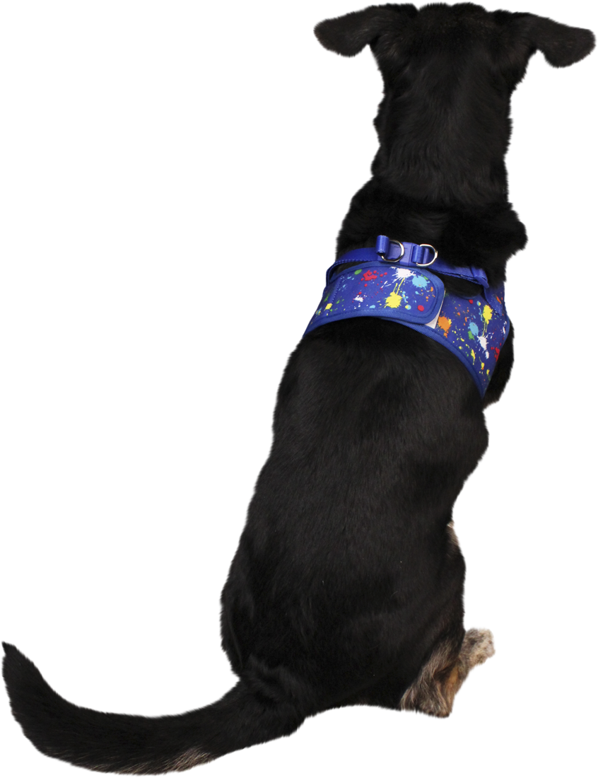 Play On Spring/Summer Paint Splatter Dog Harness