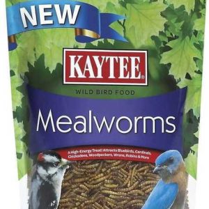 Kaytee Mealworms Wild Bird Food, 7 Ounces
