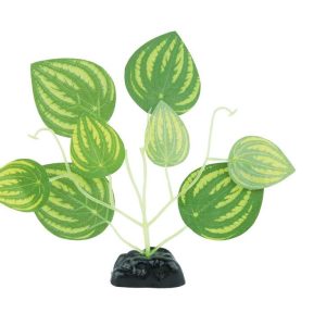 Fins First Silk Plant Green Leaf , Small