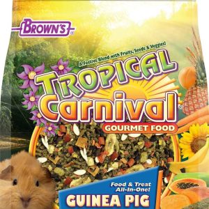 Brown's Tropical Carnival Gourmet Small Animal Guinea Pig Food, 10 Pounds