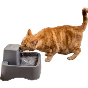 PetSafe Drinkwell 1/2 Gallon Pet Fountain, 64 Ounces