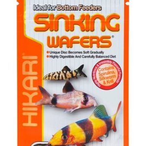 Hikari® Sinking Wafers Daily Diet