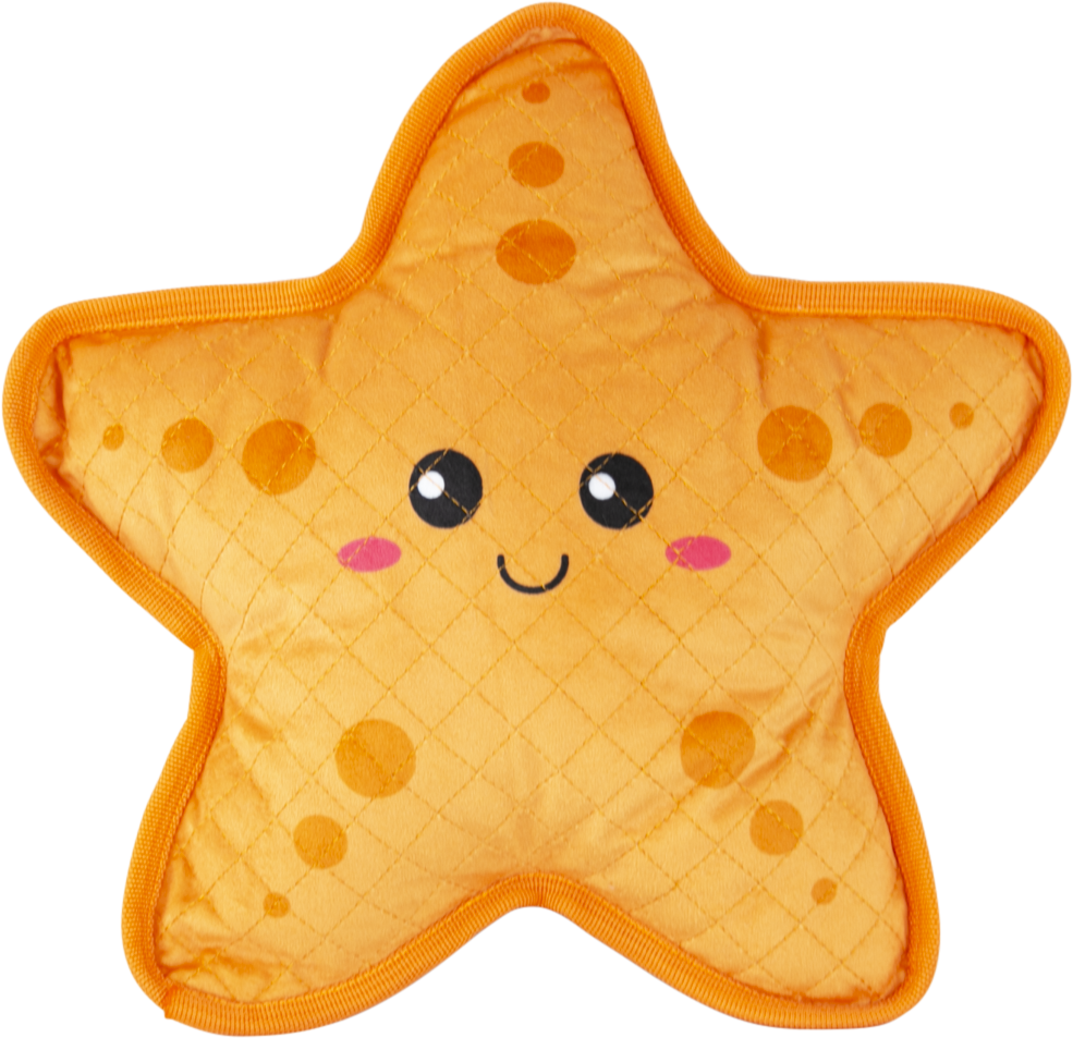Play On Durable Plush Starfish Dog Toy