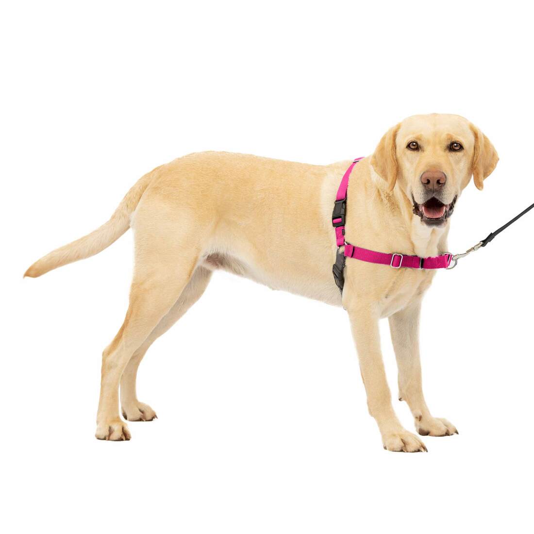 PetSafe® Easy Walk® Harness - Image 8