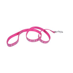 Coastal Pet Products Ribbon Dog Leash, Pink Flamingo Stripe, 1" x 04'