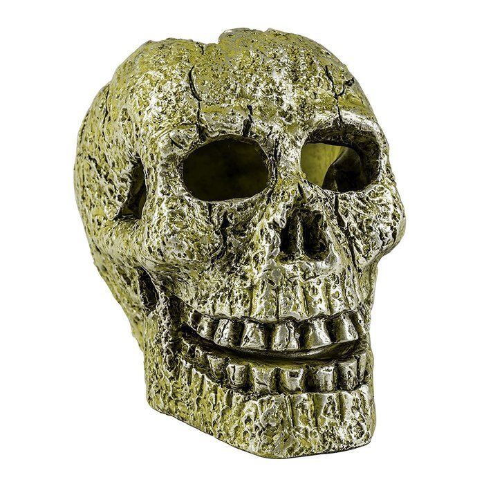 Tetra Glofish Ornament, Skull