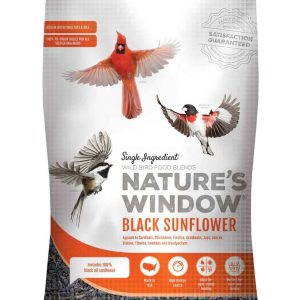 Nature's Window Black Sunflower Wild Bird Food, 40 Pounds