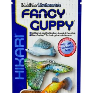 Hikari® Fancy Guppy 0.77 Ounce  - Daily Diet